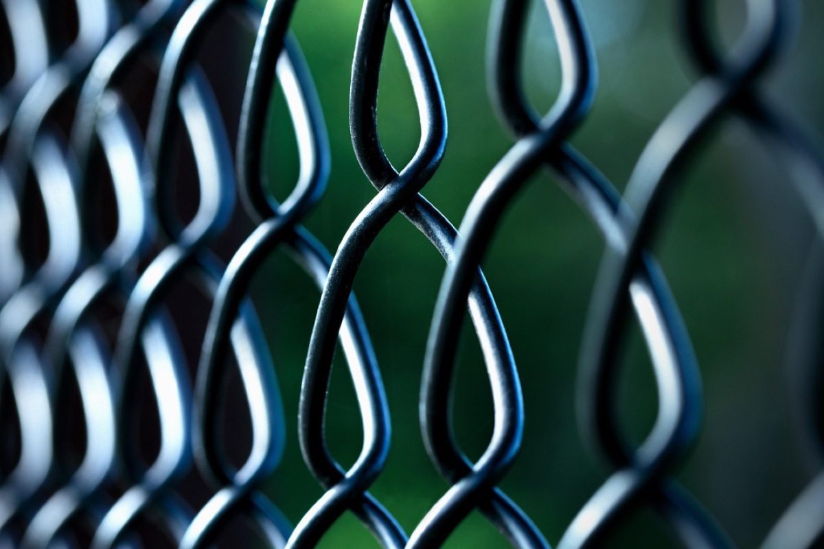 Clôture grillagée vs aluminium : quel choix privilégier ?