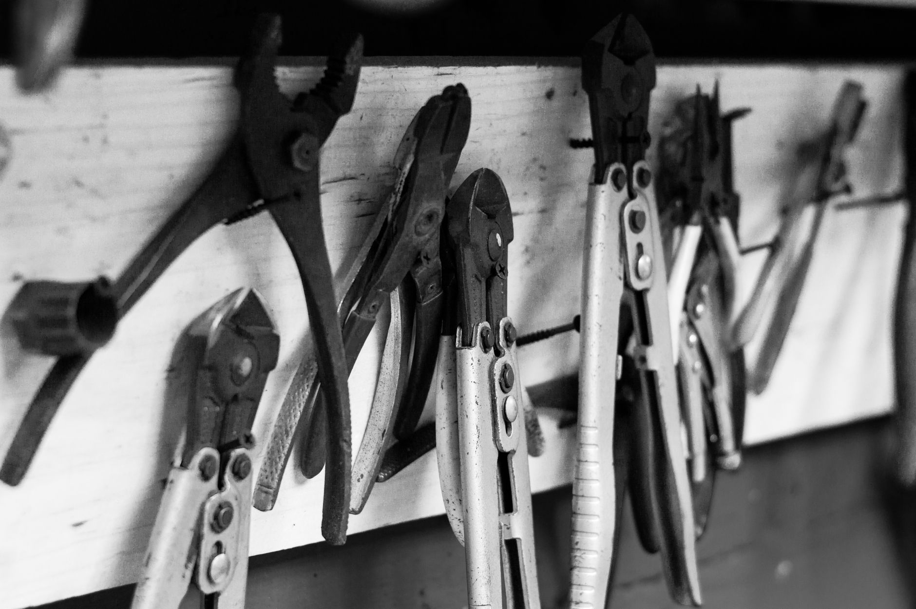 Cèdre, pin et bois traité sous pression : comparatif