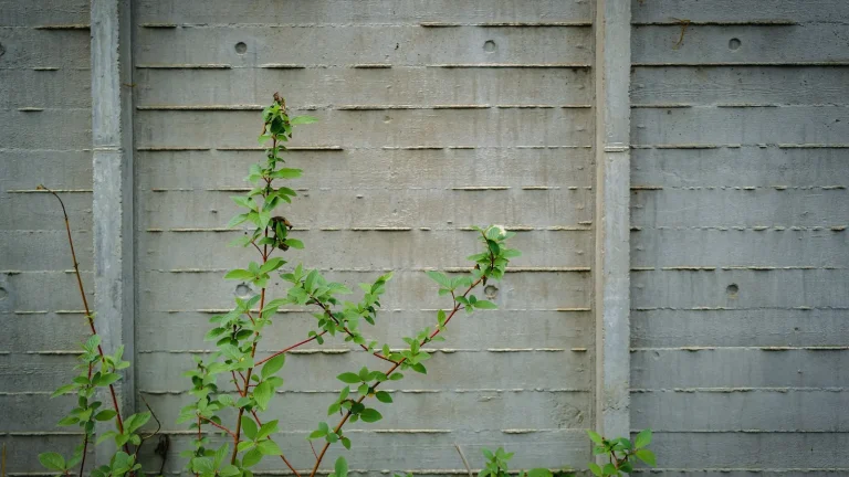 Clôture béton : solution durable et économique