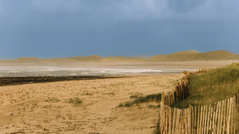 Ganivelle : clôture en bois et fil de fer galvanisé