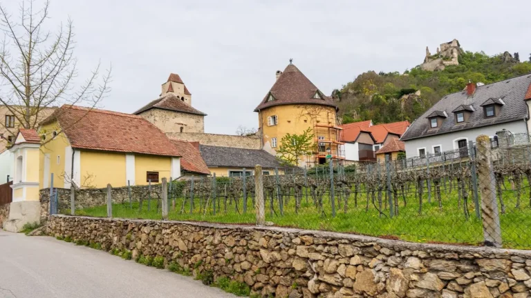 Muret de clôture : rôle, matériaux et coûts